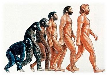 evolusi
