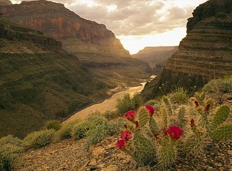 wisata-alam-grand-canyon-colorado1 Copy