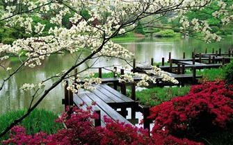japanese-garden Copy