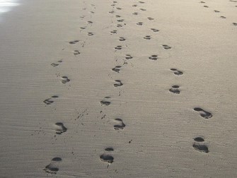 footprints- Copy