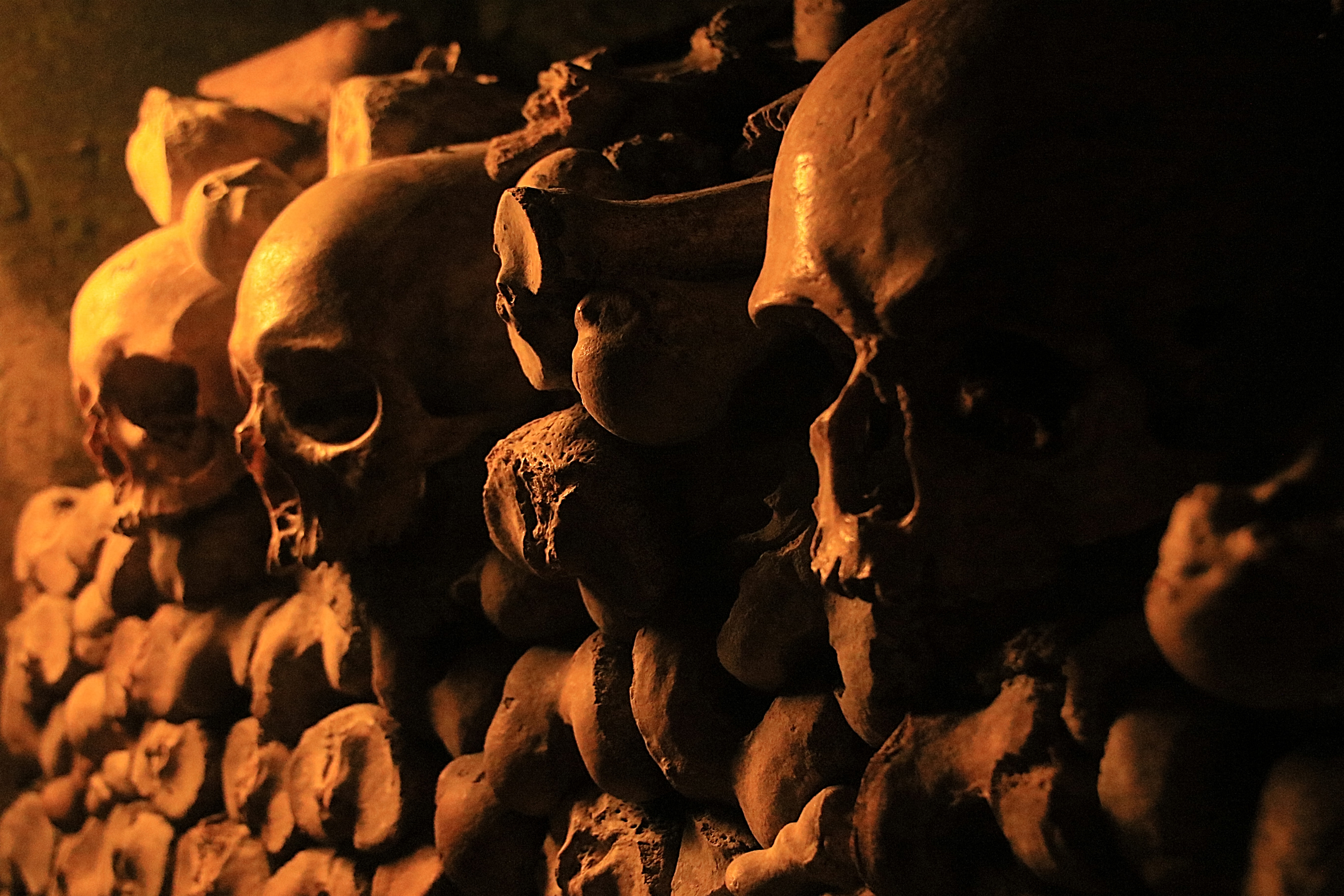 Geger Penemuan Tumpukan Tulang-Belulang dan Abu Manusia di Situs Bekas Pembantaian Nazi.